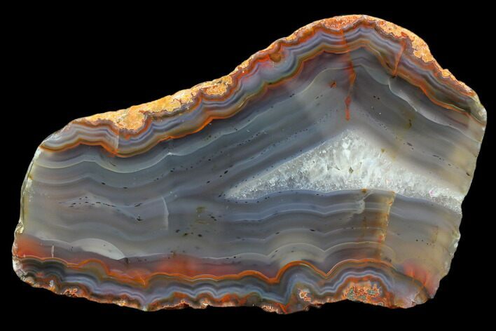Beautiful Condor Agate From Argentina - Cut/Polished Face #79479